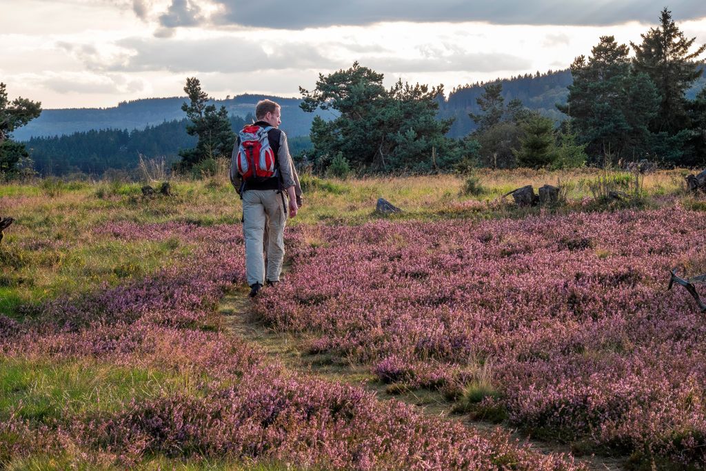 Wanderweg Rothaarsteig durch das Siegerland