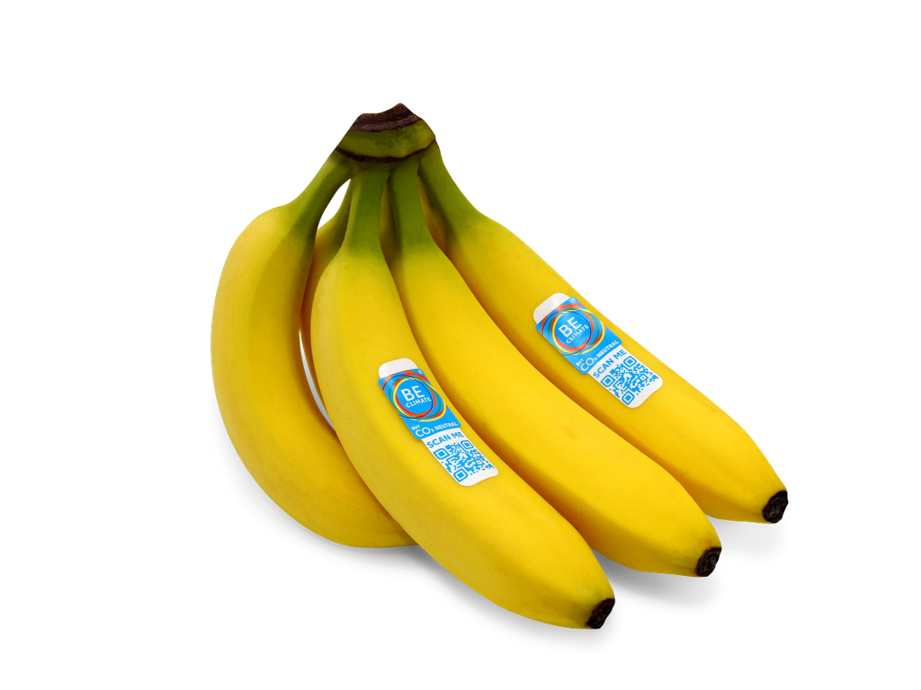 Ein Bündel Bananen