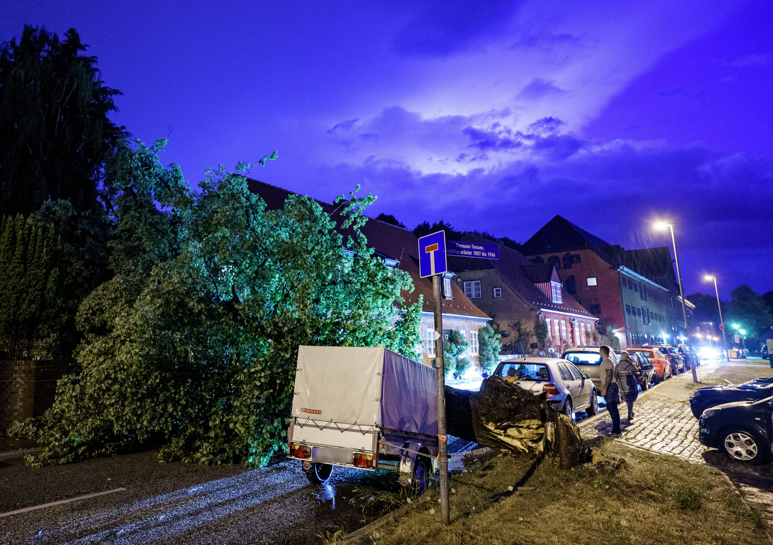 Ein umgekippter Baum versperrt die Straße in Kiel