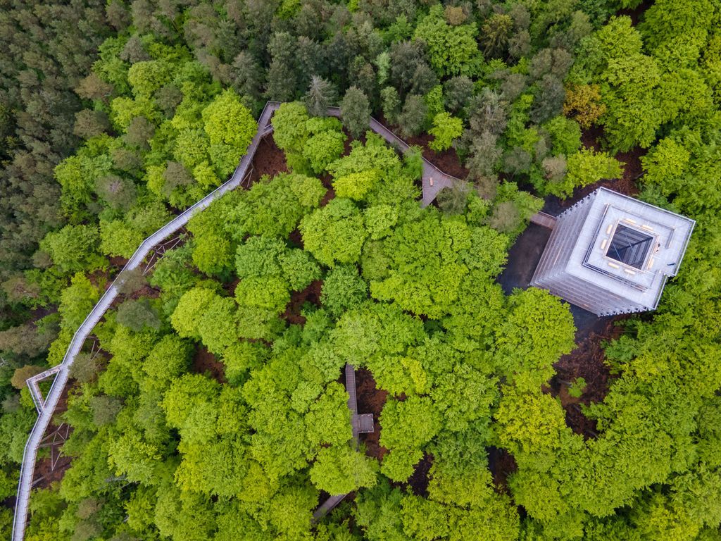 Baumwipfelpfad Usedom draufsicht