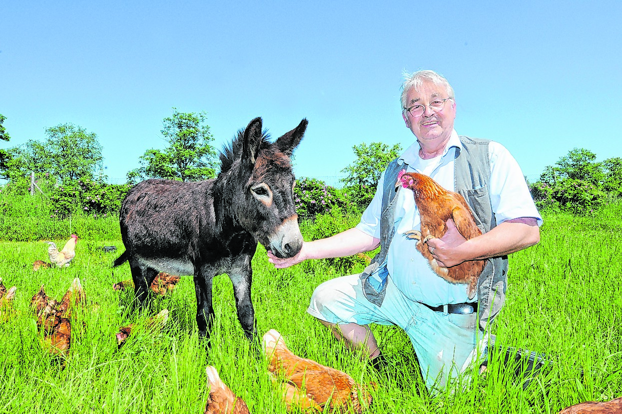 Esel Kasper mit seinem Chef, dem Bio-Landwirt Thomas Scharmer.