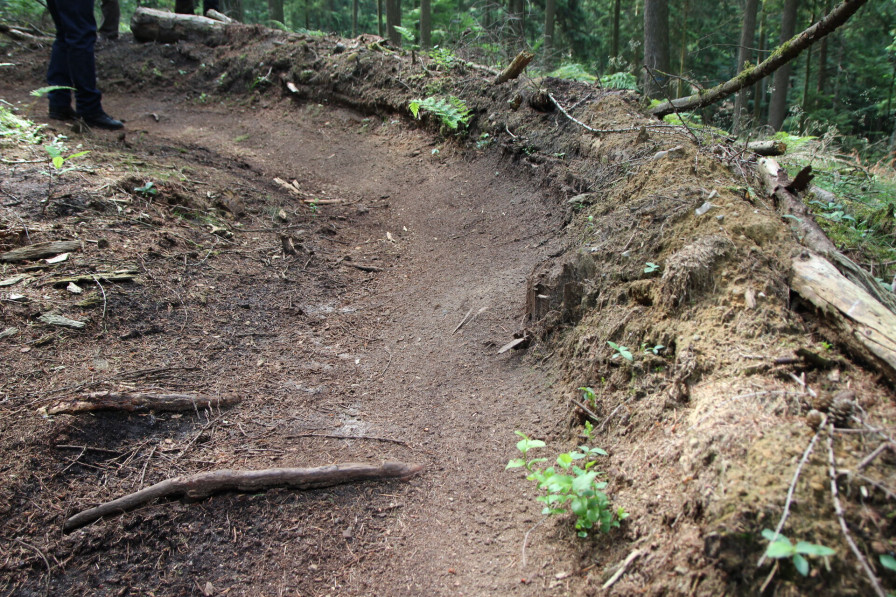 Es werden im Wald teilweise massive Erdbewegungen vorgenommen, um Kurvenerhöhungen oder Sprünge anzulegen. Die Trails bergen die große Gefahr, dass sich bei Regen Erosionsrinnen bilden. Die Wurzeln der umliegenden Bäume werden nachhaltig beschädigt.
