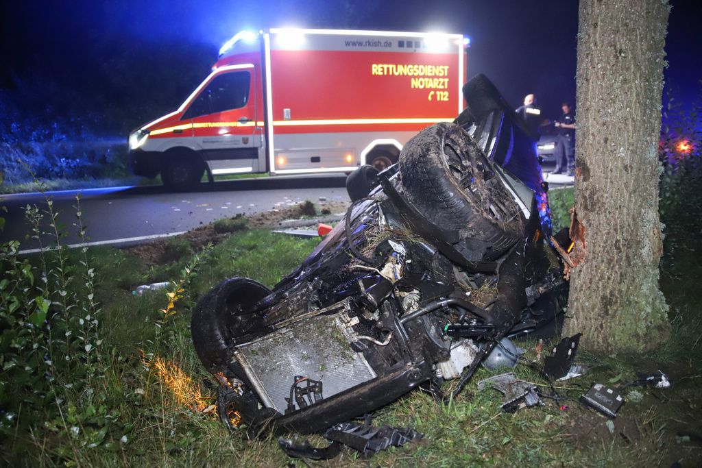 Die Autofahrerin wich einem Wildtier aus und kam schließlich an einem Straßenbaum zum Liegen.