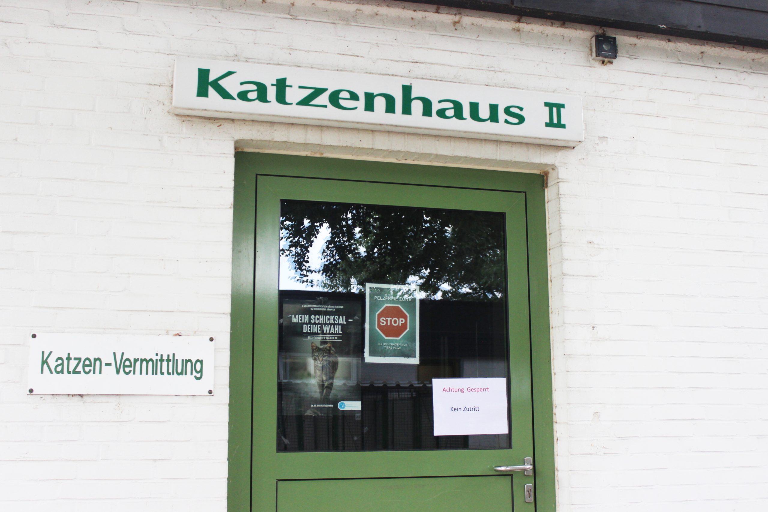 Das Katzenhaus samt Welpen-Isolationsstation und OP-Saal musste wegen seiner Baufälligkeit geschlossen werden.