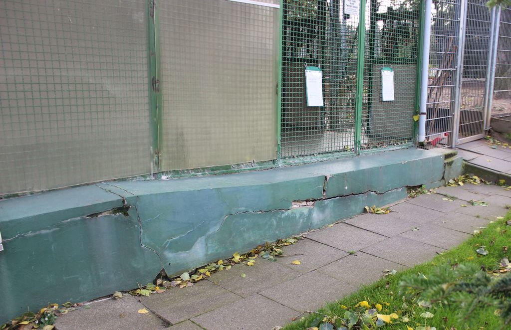 Im Hundehaus des Tierheims sackt das Fundament ab.