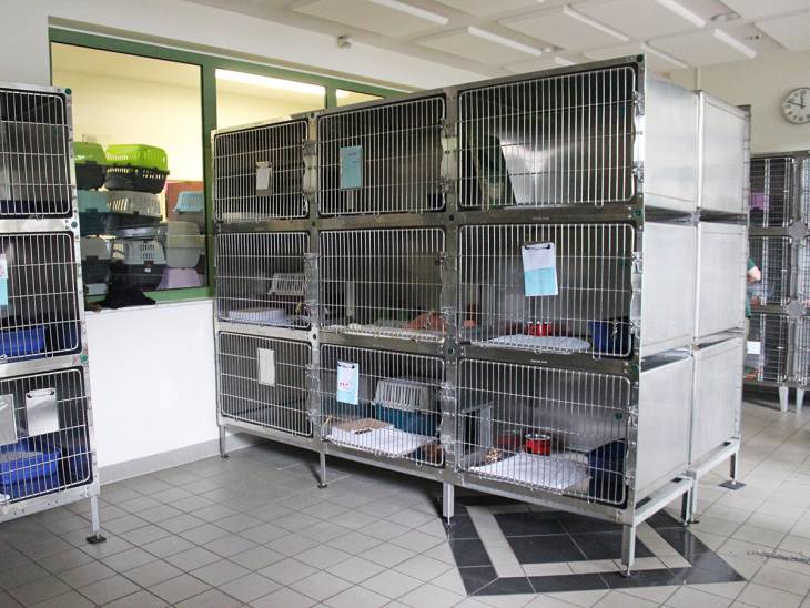 Katzenboxen im Tierheim Süderstraße