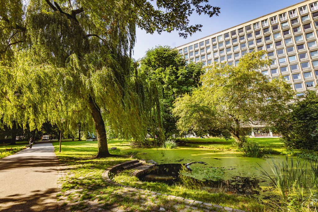 Park mit Hochhaus im Hintergrund