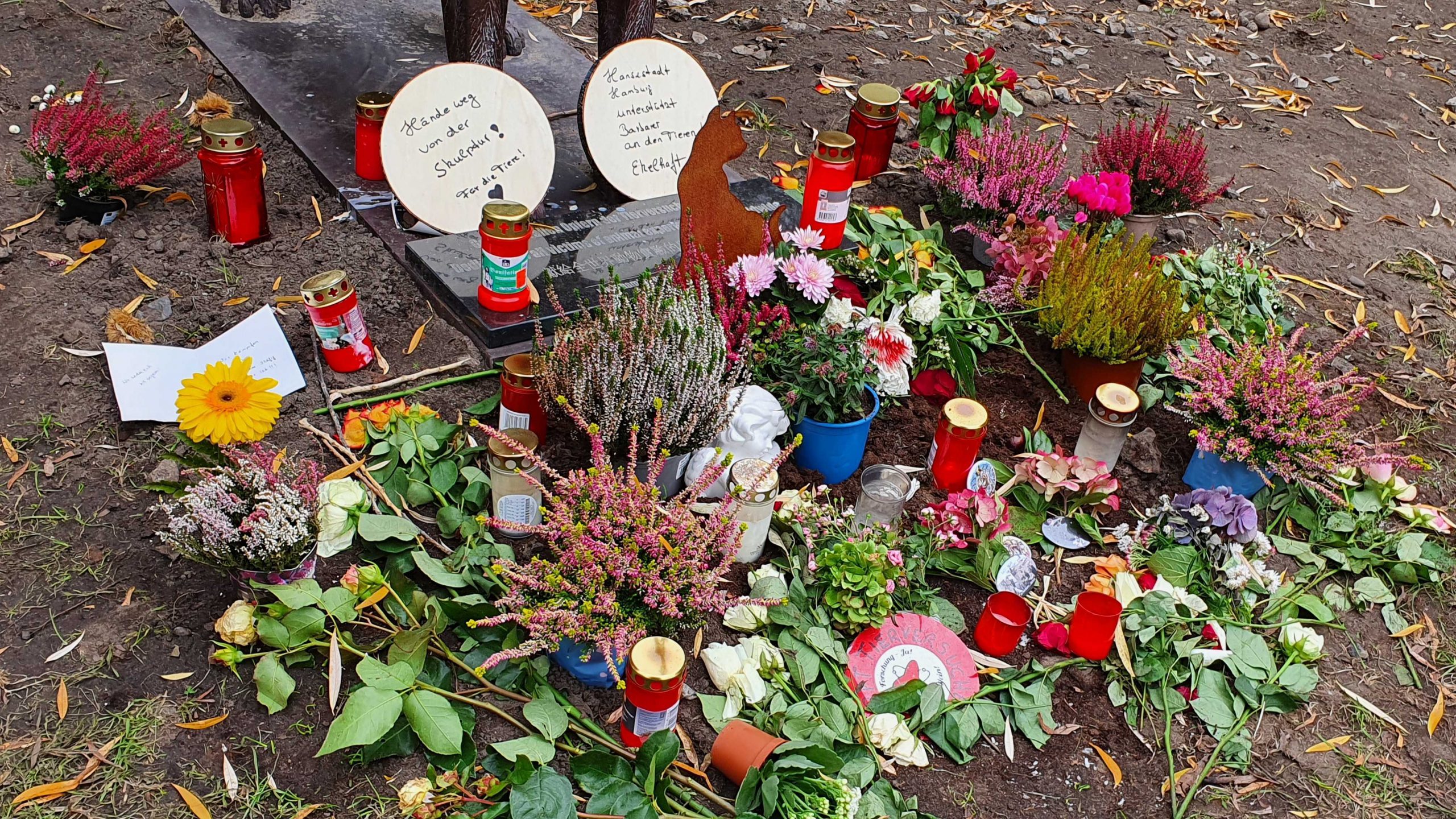 Blumen und Kerzen für getöteten Tiere.