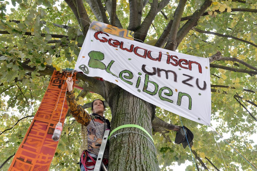 Aktivisten haben ein Plakat in den Baum gehängt.