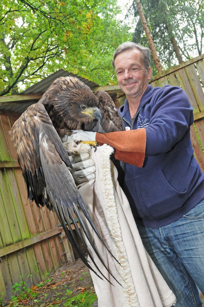 Christian Erdmann mit Seeadler