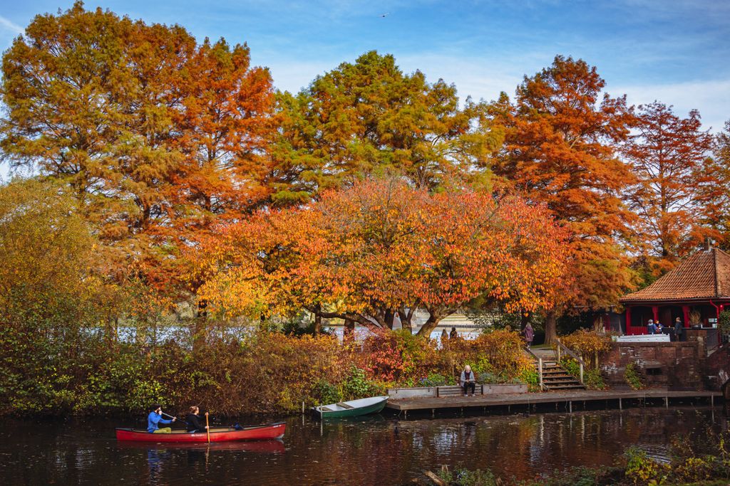 Goldener Herbst Stadtparksee