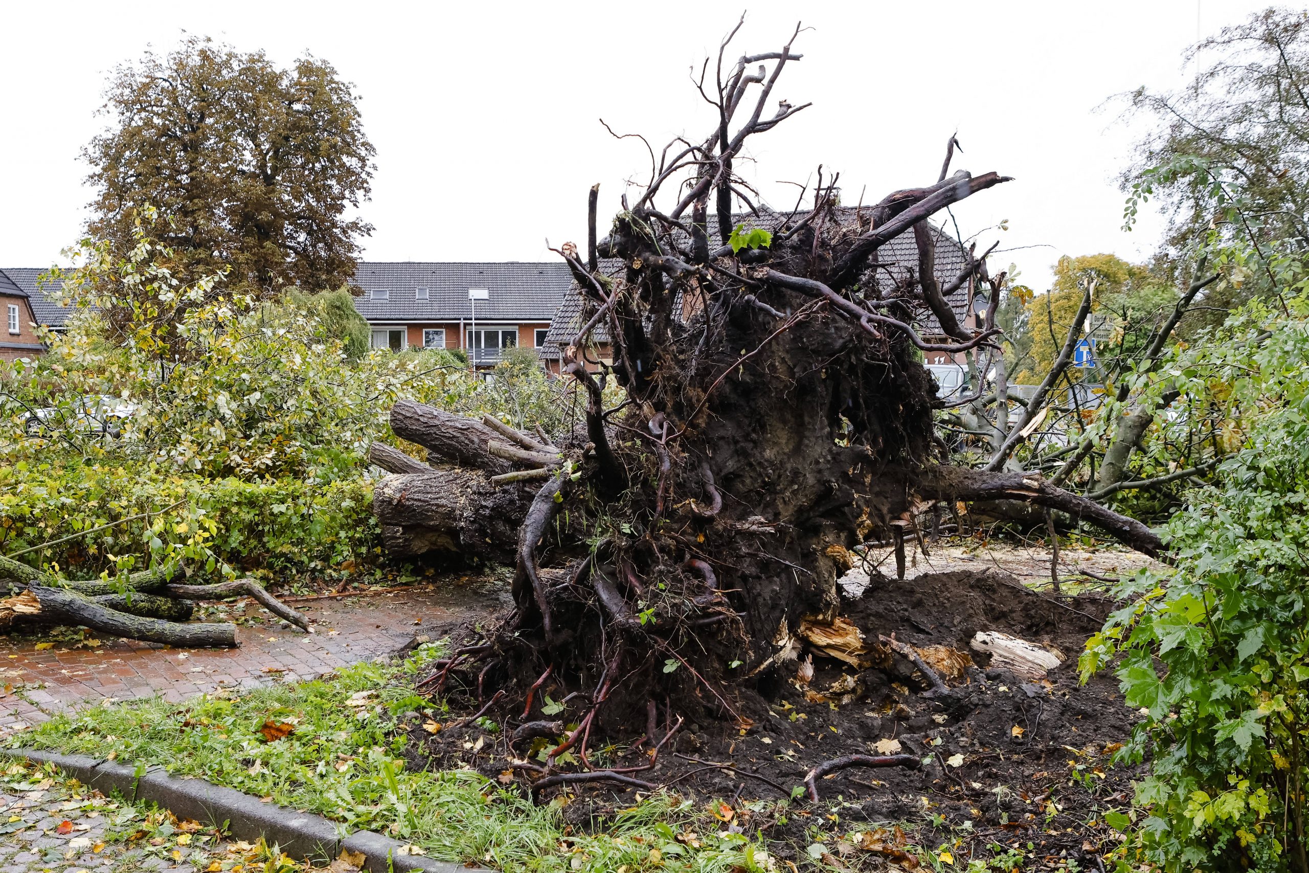 In Schwentinental bei Kiel zog ein Wirbelsturm am Donnerstag eine „Schneise der Verwüstung“ durch den Ort, wie ein Feuerwehrmann sagte. 