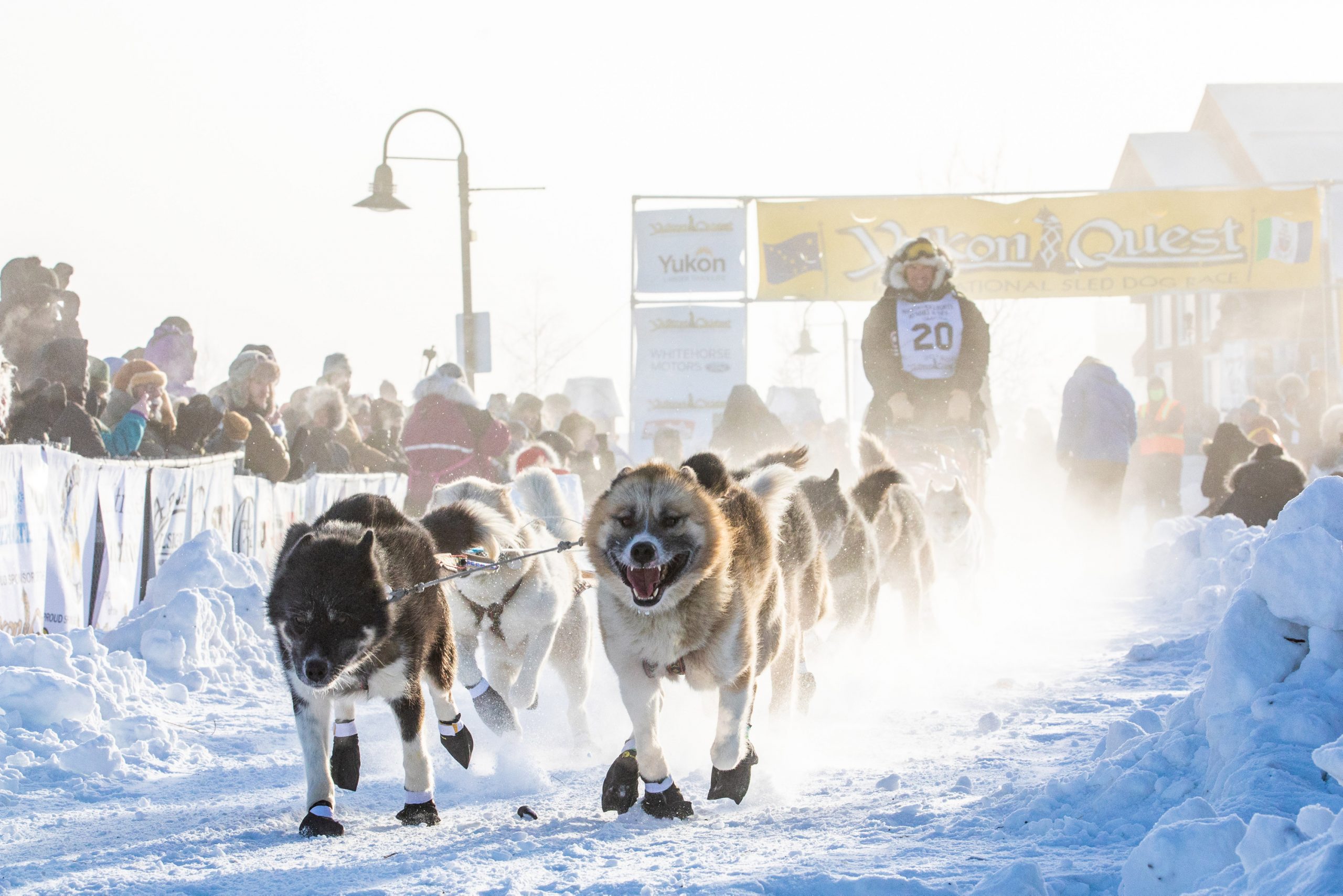 Der Hunde-Flüsterer, Hendrik Stachnau Hier: beim Yukon Quest-Rennen