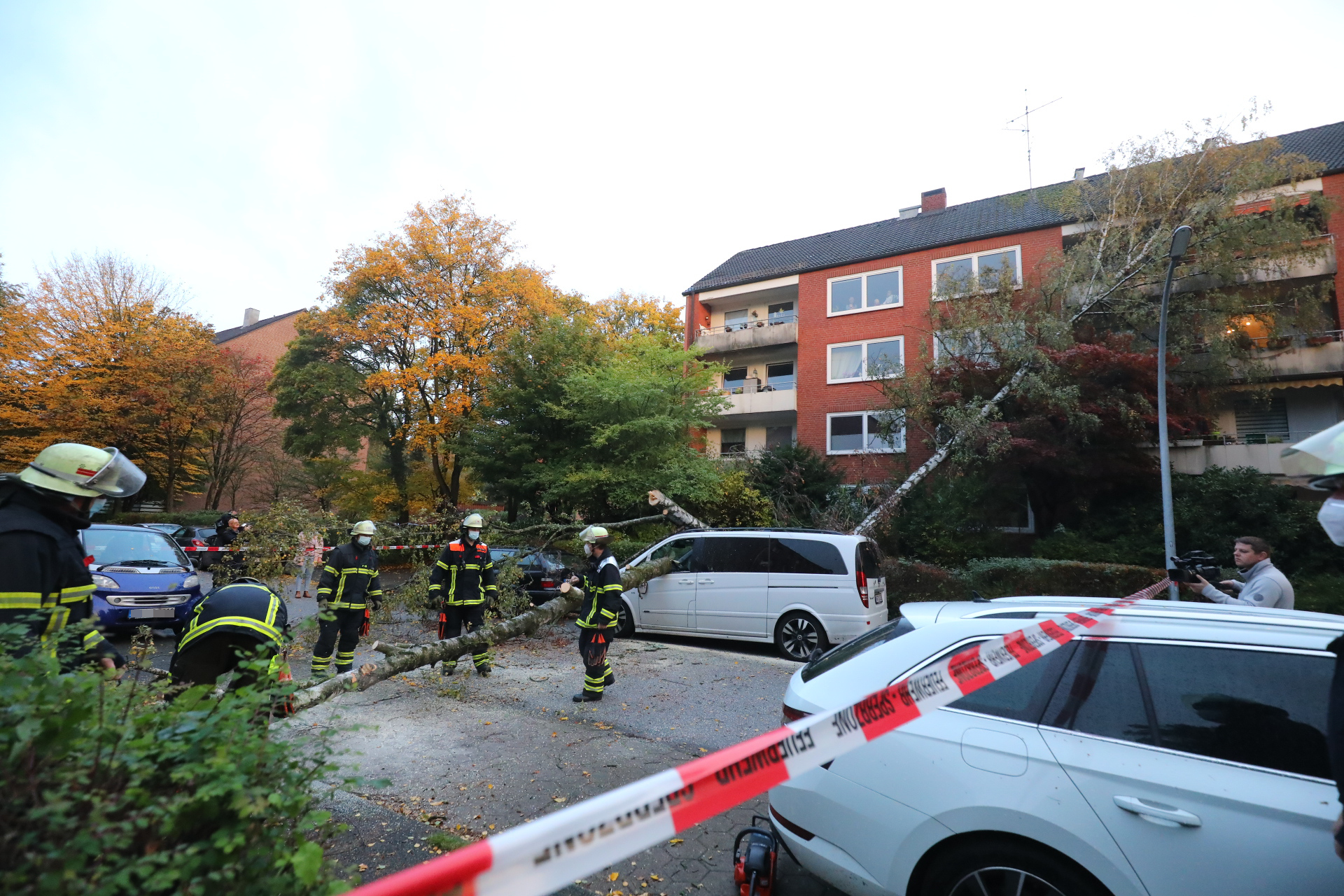 Sturm Ignatz entwurzelte eine Birke auf der Beisserstraße in Hamburg-Ohlsdorf, die einen Van unter sich begrub.